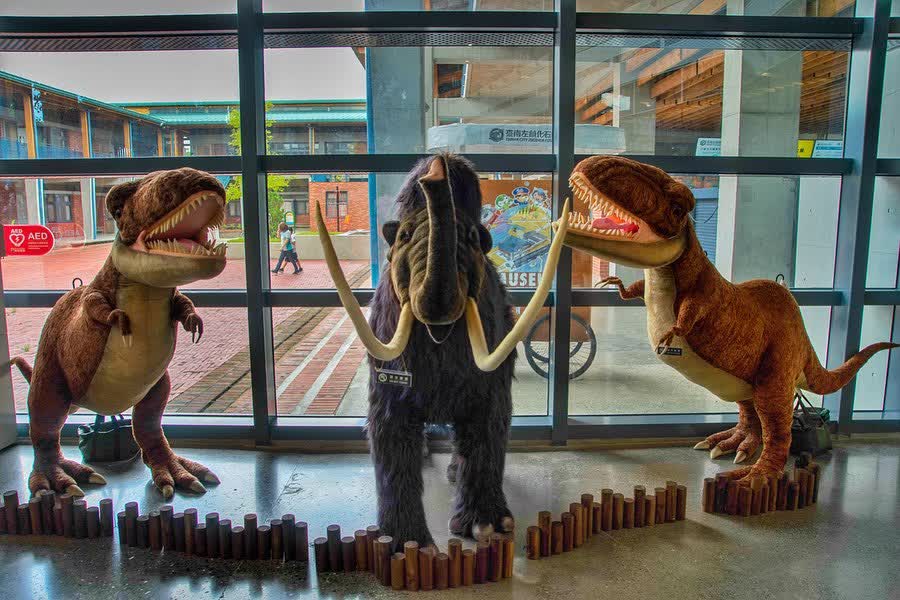 臺南左鎮化石園區(16:00截止售票、17:00閉館) | 去趣 chicTrip