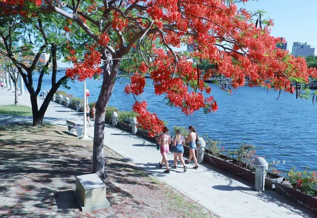 愛河(河東路) | 去趣 chicTrip