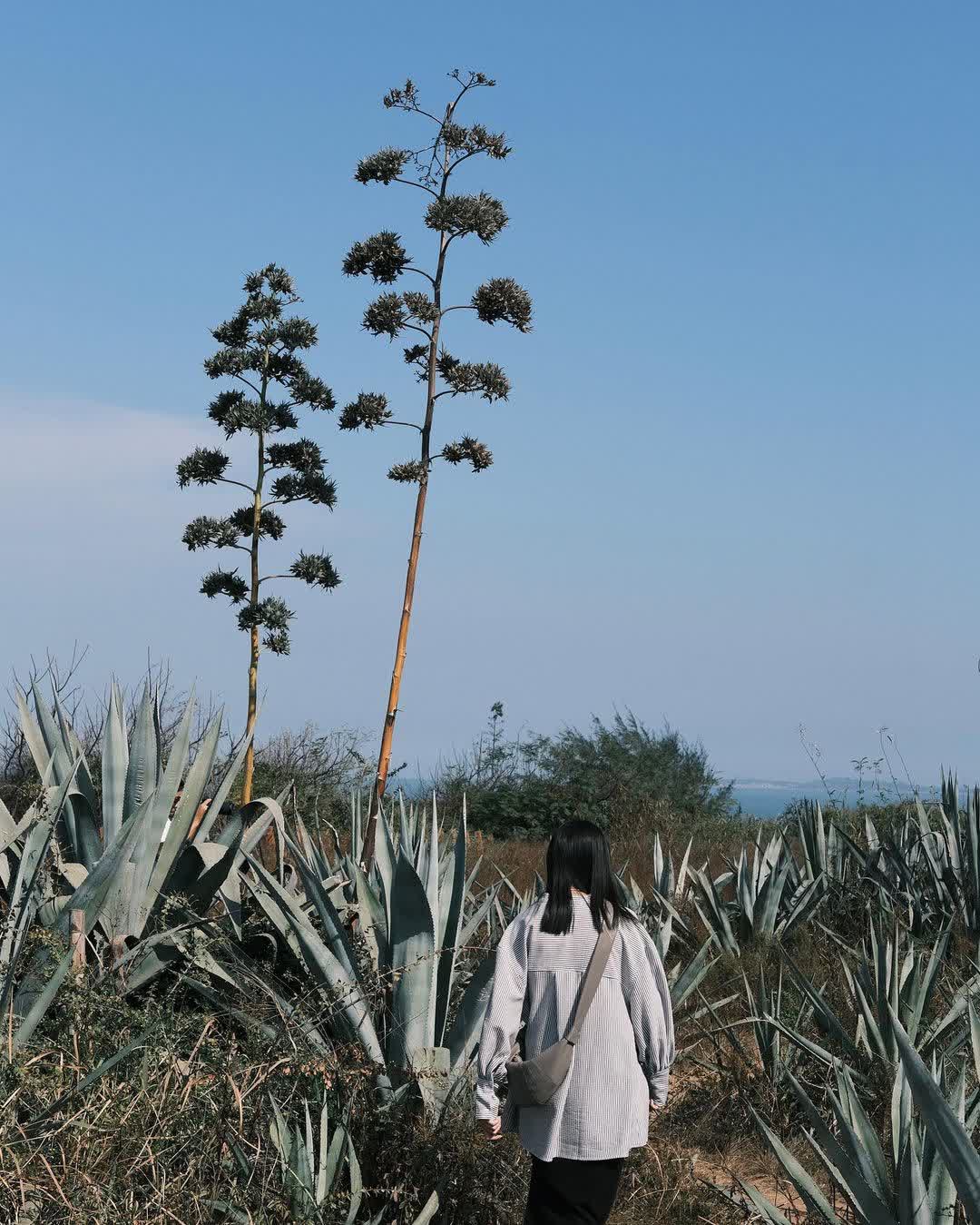 北山播音牆 | 去趣 chicTrip