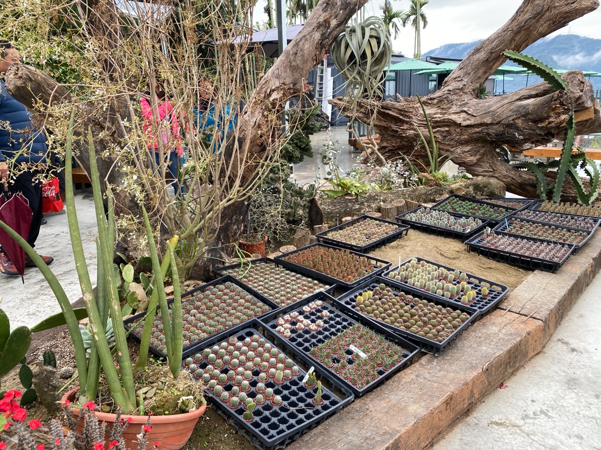 鹿芝谷生態景觀園區【試營運】 | 去趣 chicTrip