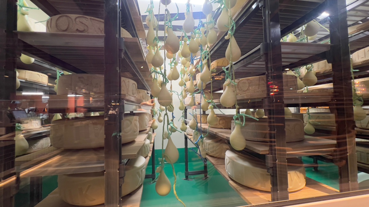 ASO MILK FACTORY | 去趣 chicTrip