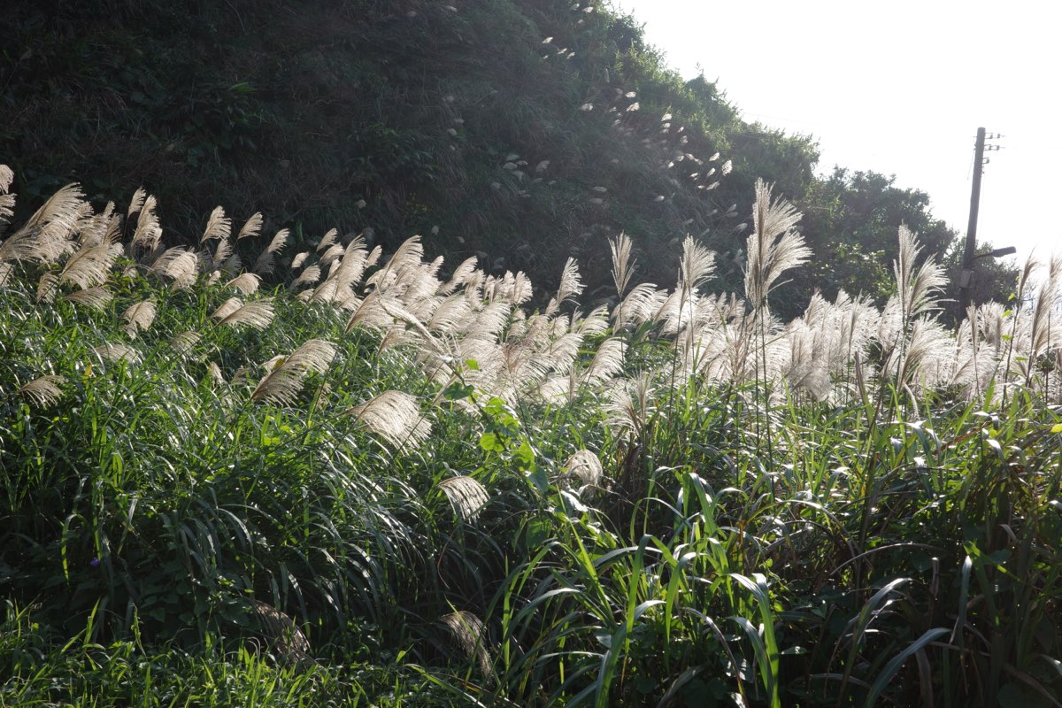 望幽 谷 | 去趣 chicTrip