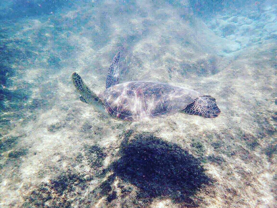 琉球嶼 | 去趣 chicTrip