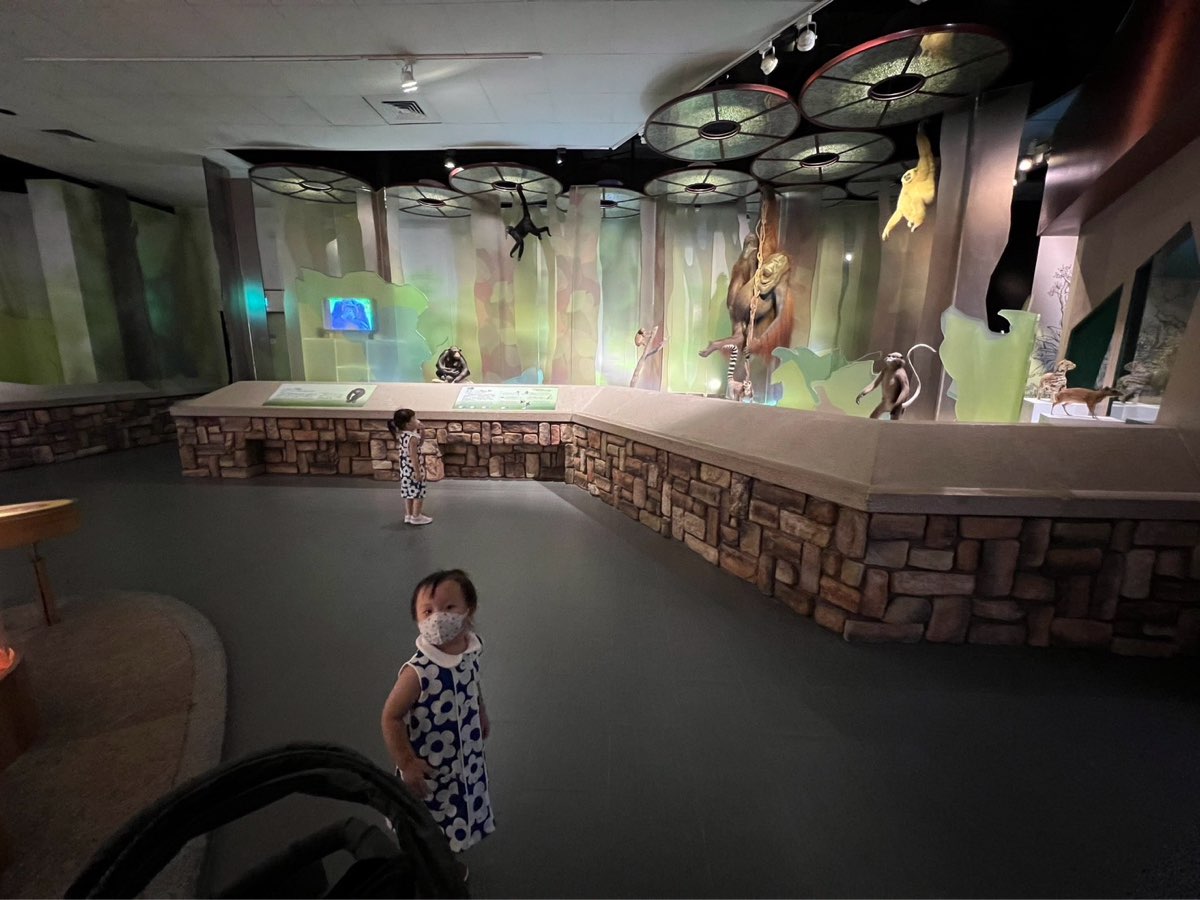 國立自然科學博物館 | 去趣 chicTrip