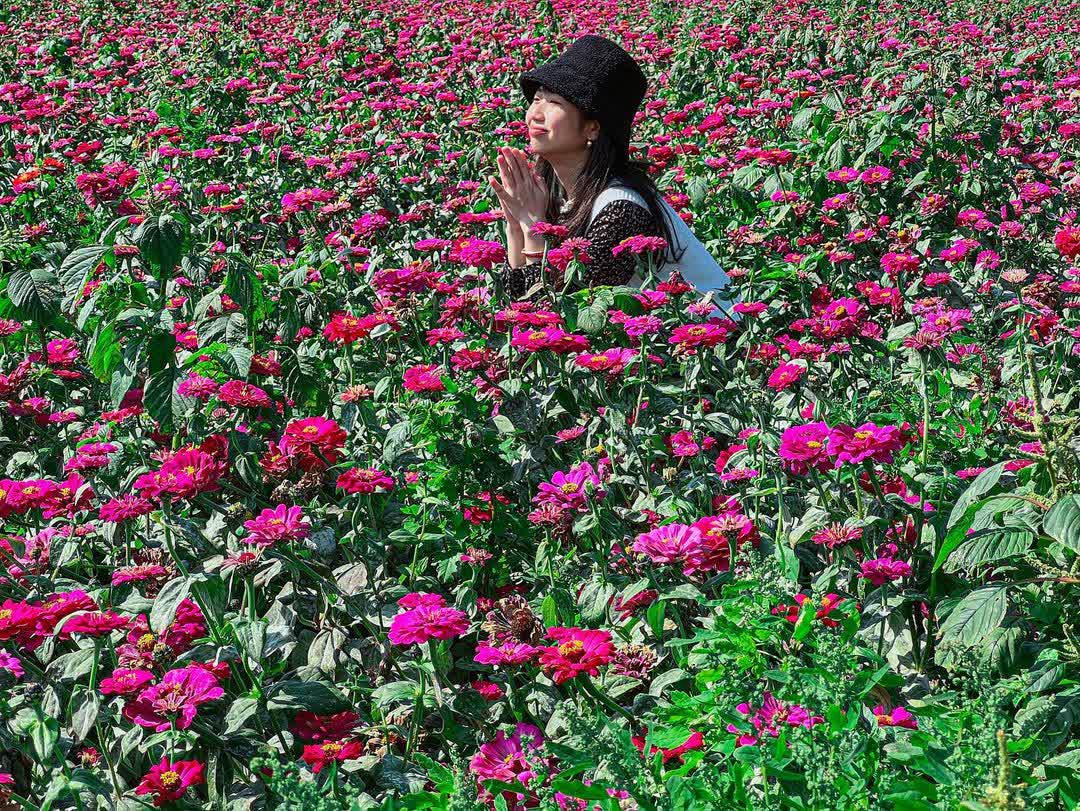 鹽水月津港歷史街區 | 去趣 chicTrip