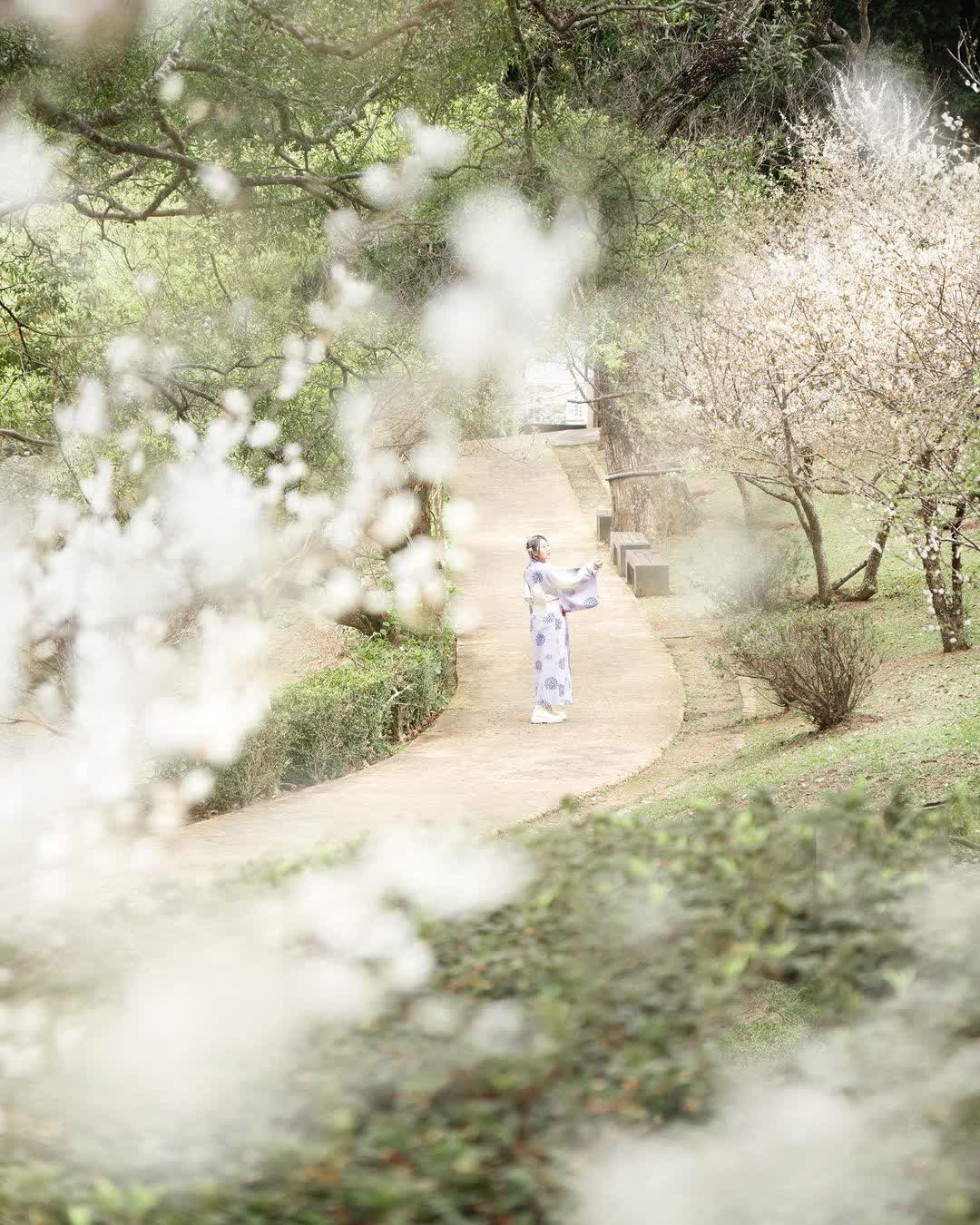 角板山行館 | 去趣 chicTrip