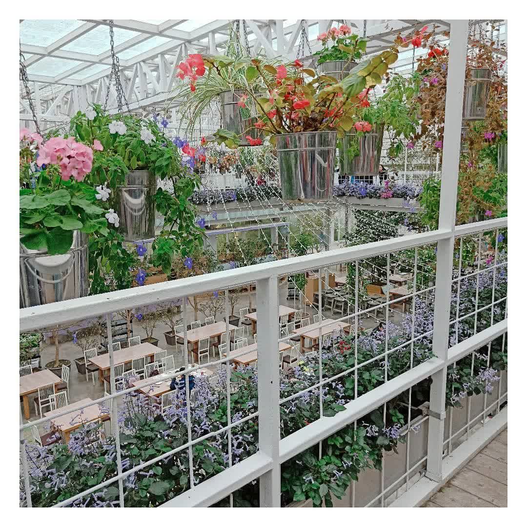 香草菲菲 芳香植物博物館 | 去趣 chicTrip