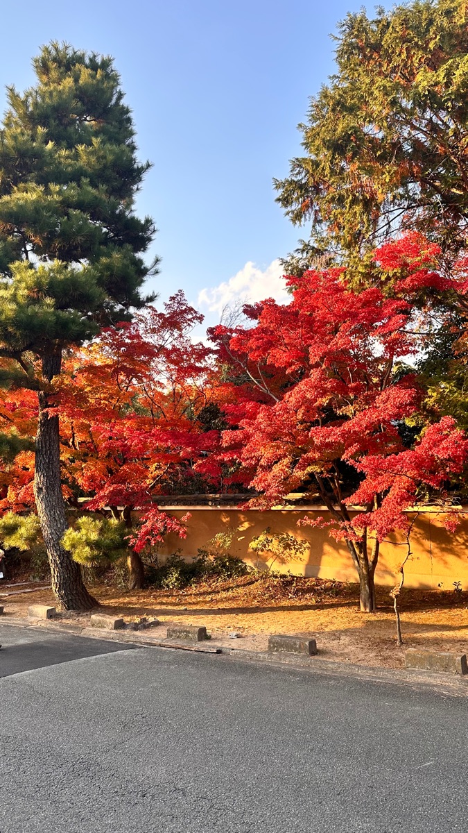 東福寺 | 去趣 chicTrip