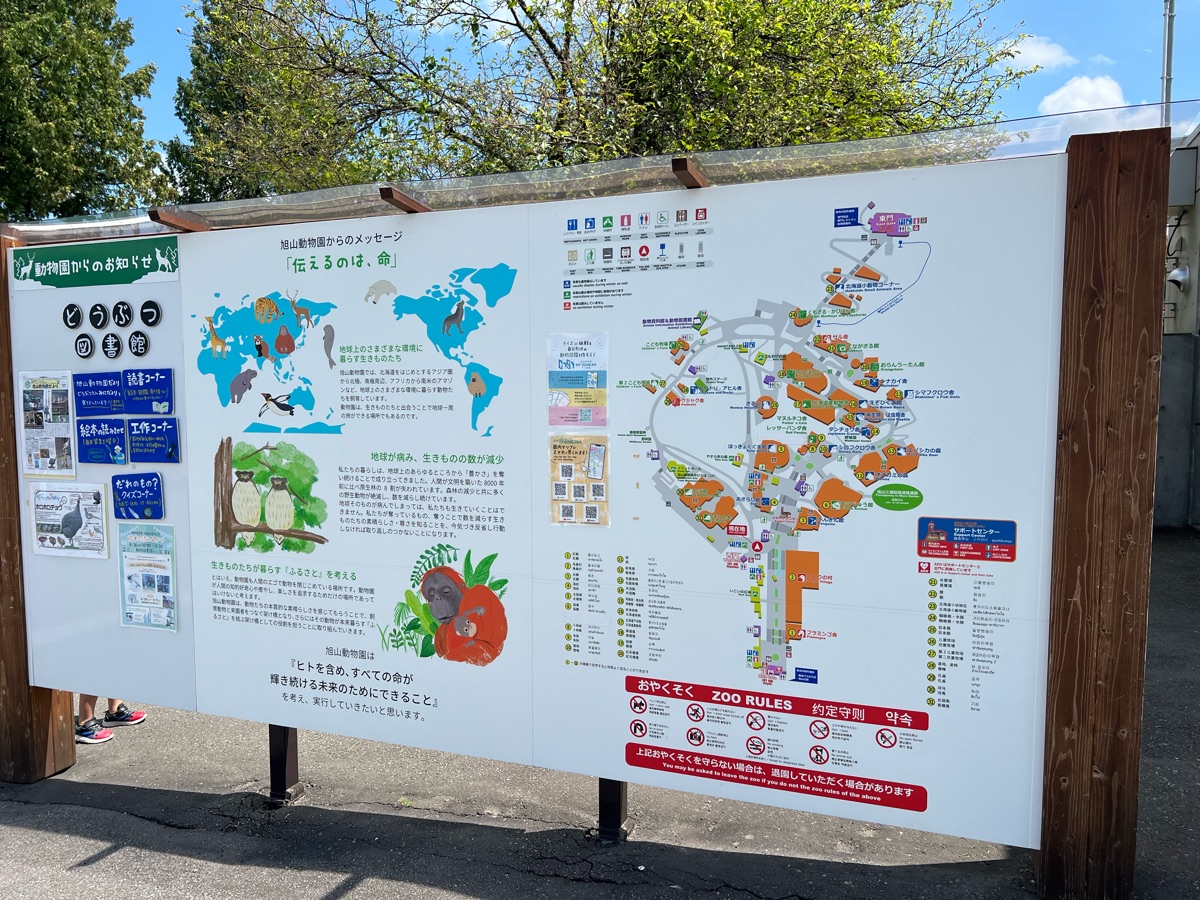 旭山動物園 | 去趣 chicTrip