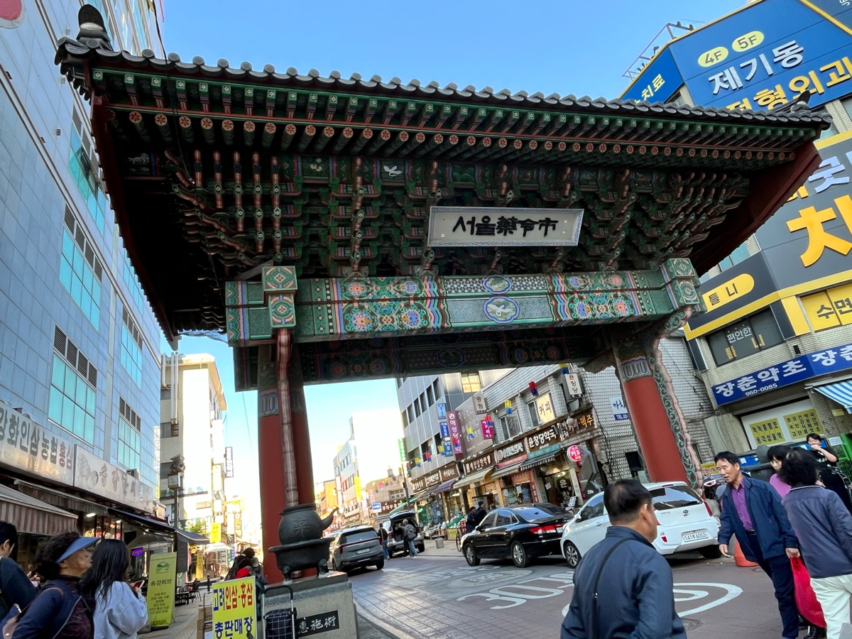 Seoul Yangnyeongsi Medicine Market | 去趣 chicTrip
