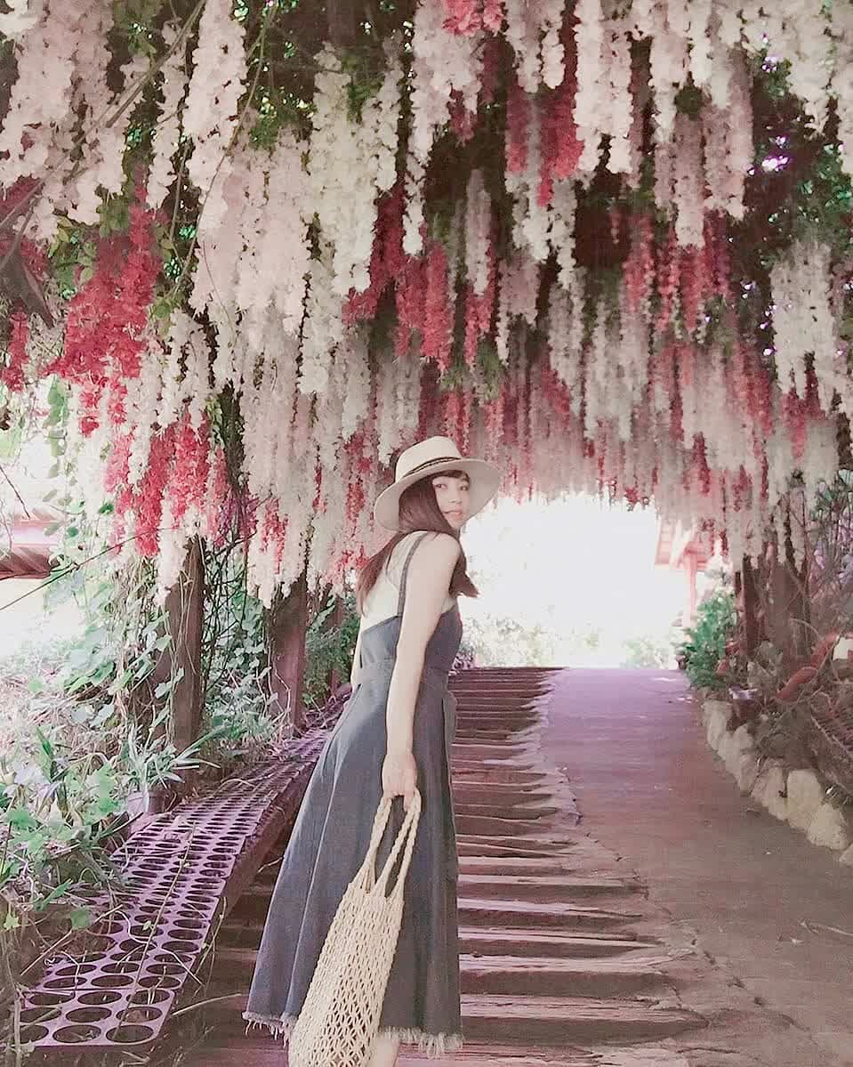 大坑休閒農場 | 去趣 chicTrip