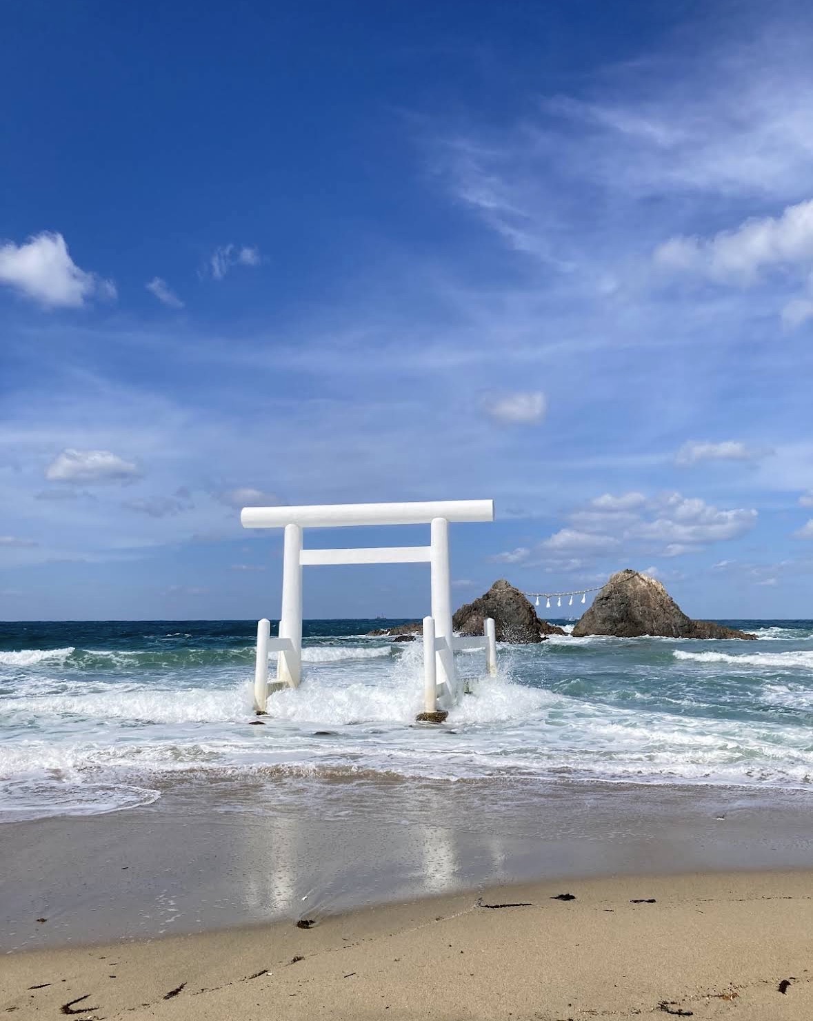 Palm Tree Swing | 去趣 chicTrip