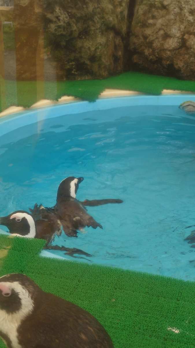 名古屋港水族館 | 去趣 chicTrip