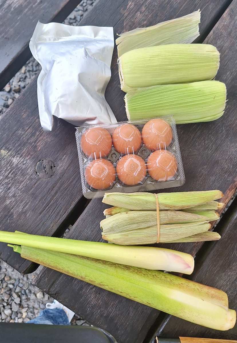 清水地熱公園 | 去趣 chicTrip