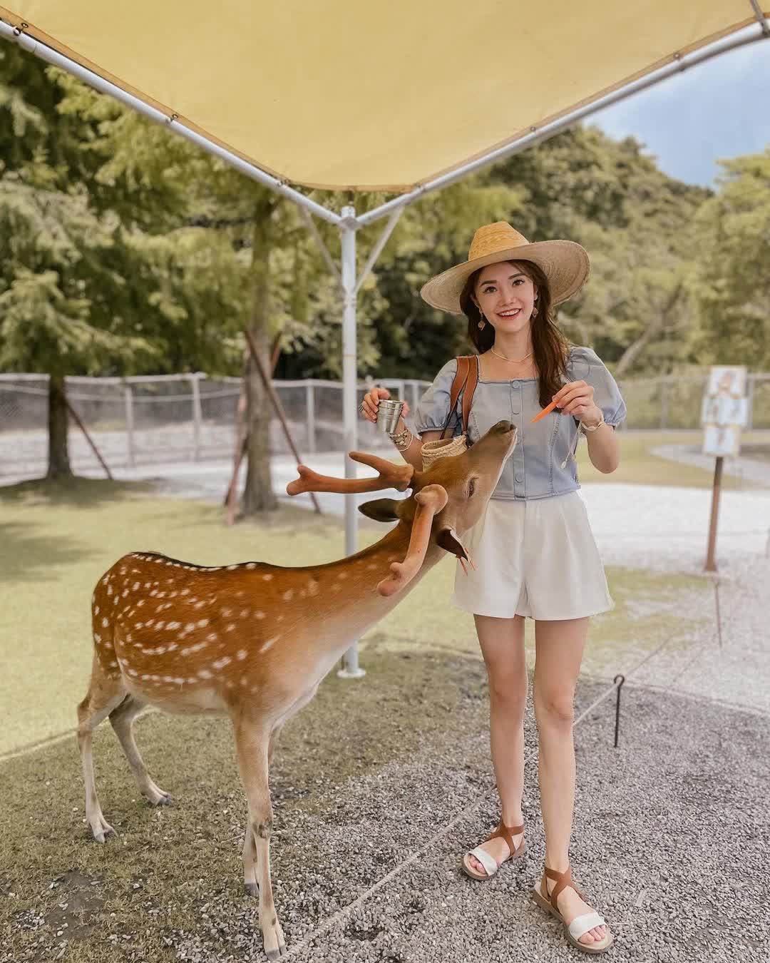 宜蘭-斑比山丘 | 去趣 chicTrip