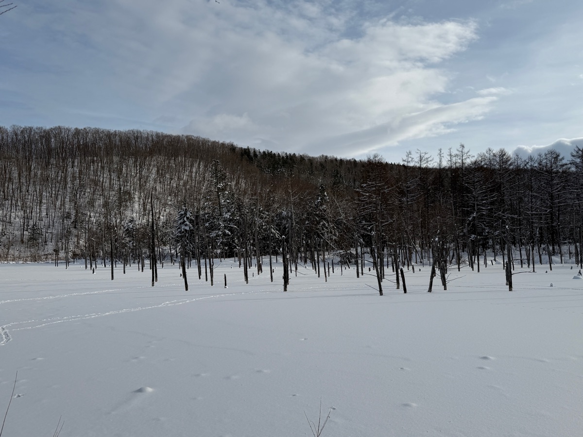 白金青池 | 去趣 chicTrip