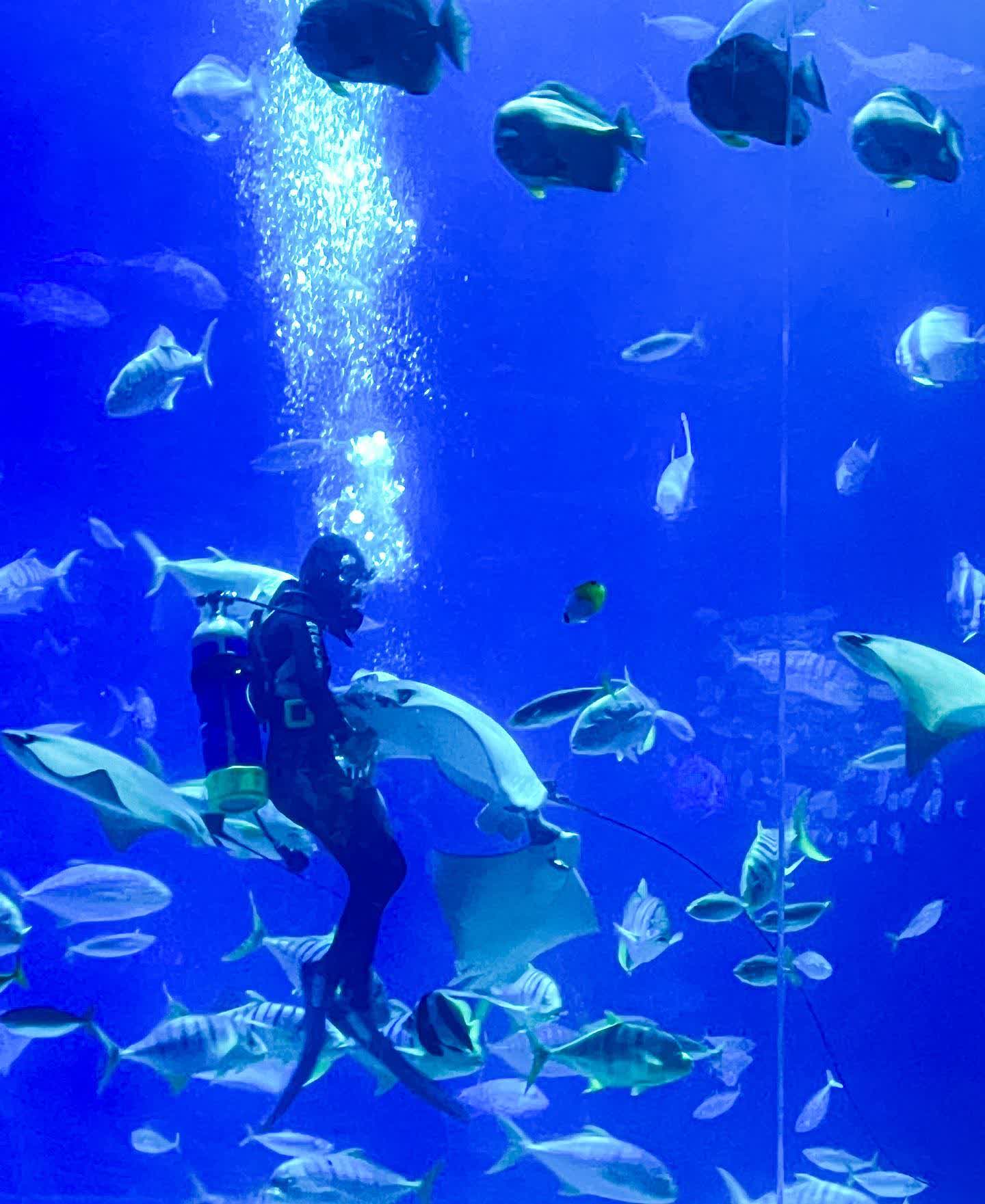 國立海洋生物博物館 | 去趣 chicTrip