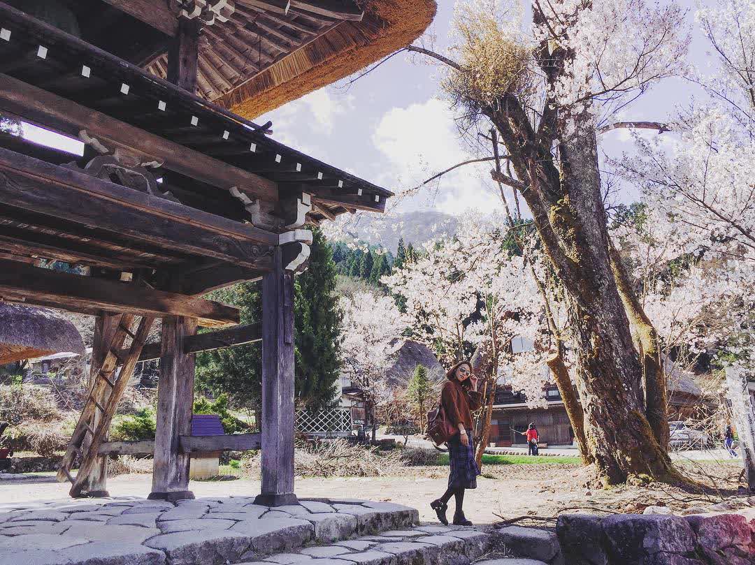 白川鄉合掌造聚落 | 去趣 chicTrip