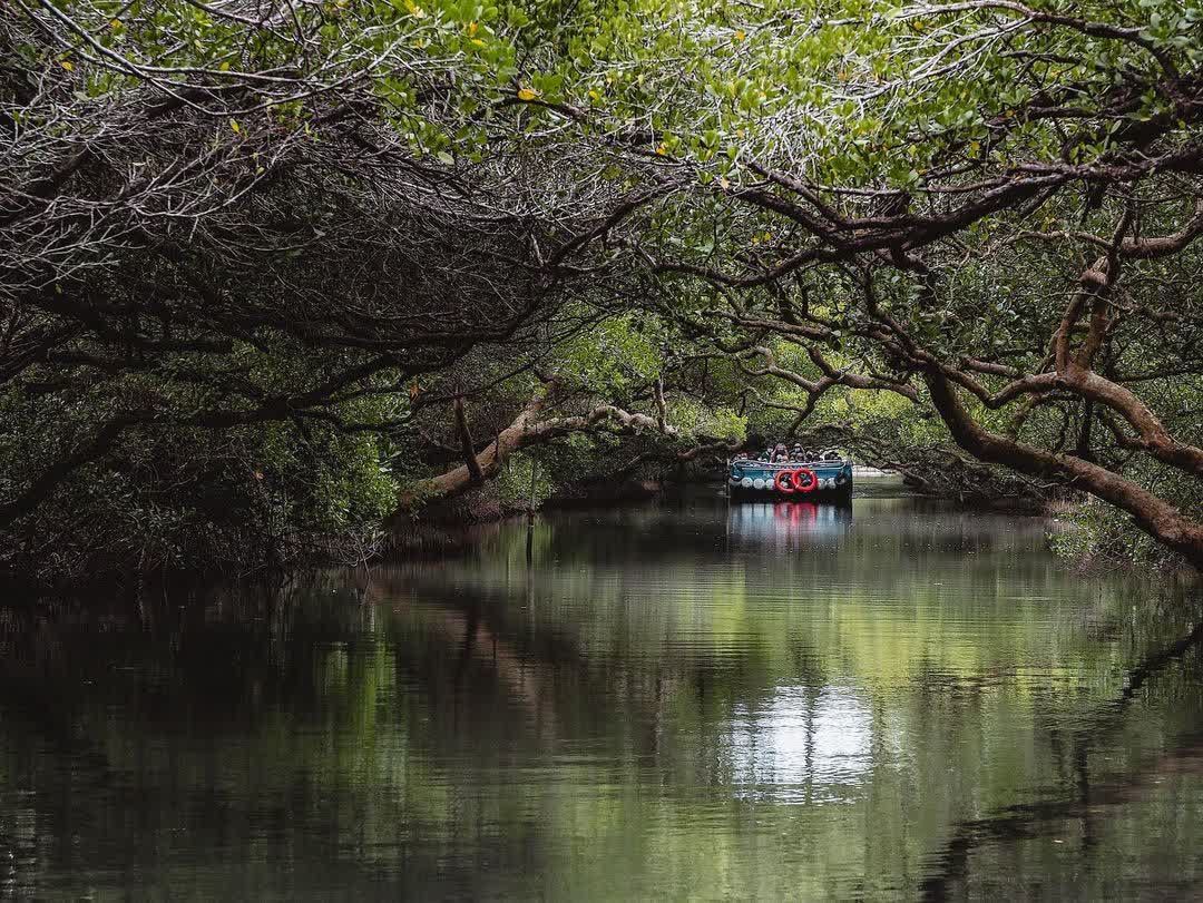 四草綠色隧道 | 去趣 chicTrip