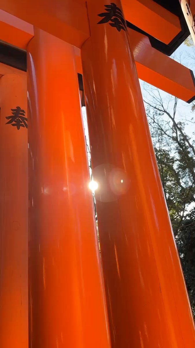 伏見稻荷大社 千本鳥居 | 去趣 chicTrip