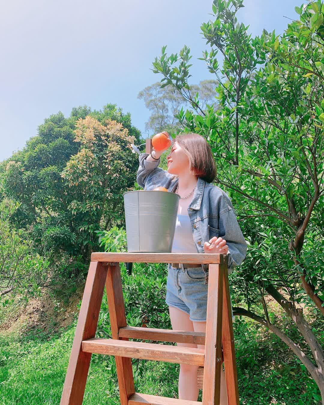 橙香森林 | 去趣 chicTrip