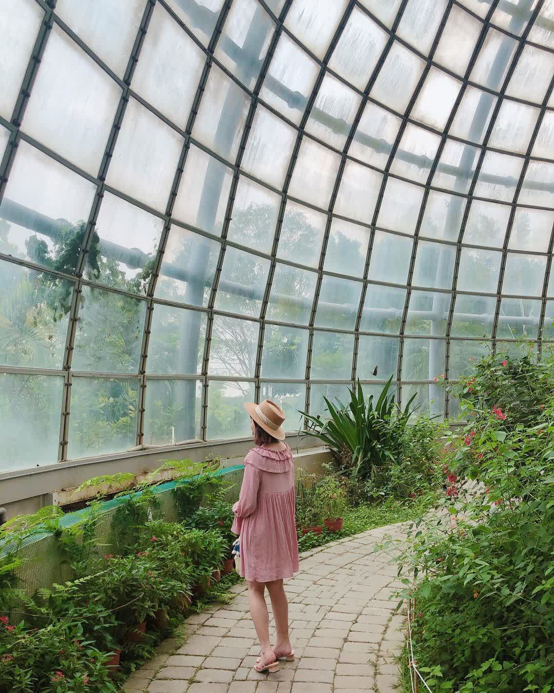 嘉大昆蟲館 | 去趣 chicTrip