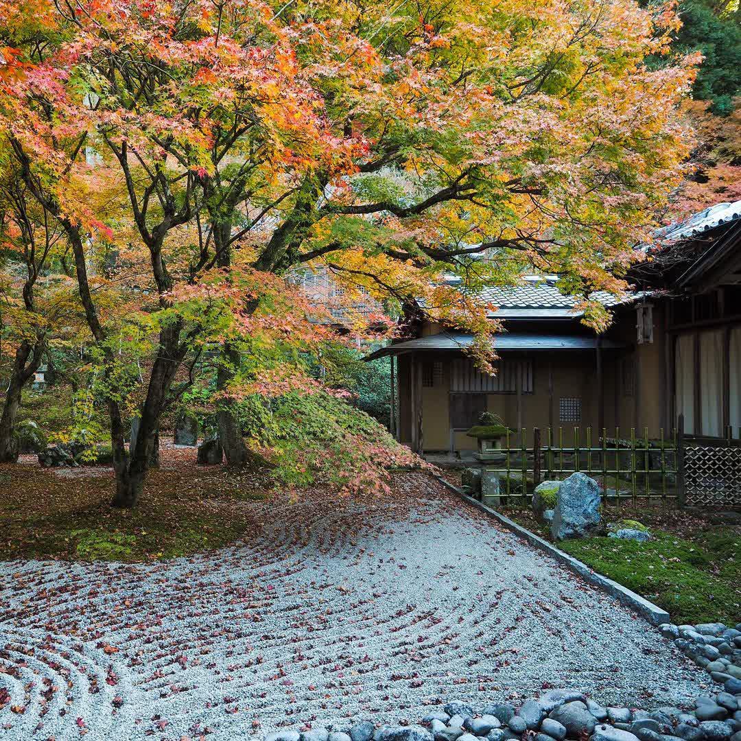 太宰府天滿宮 | 去趣 chicTrip