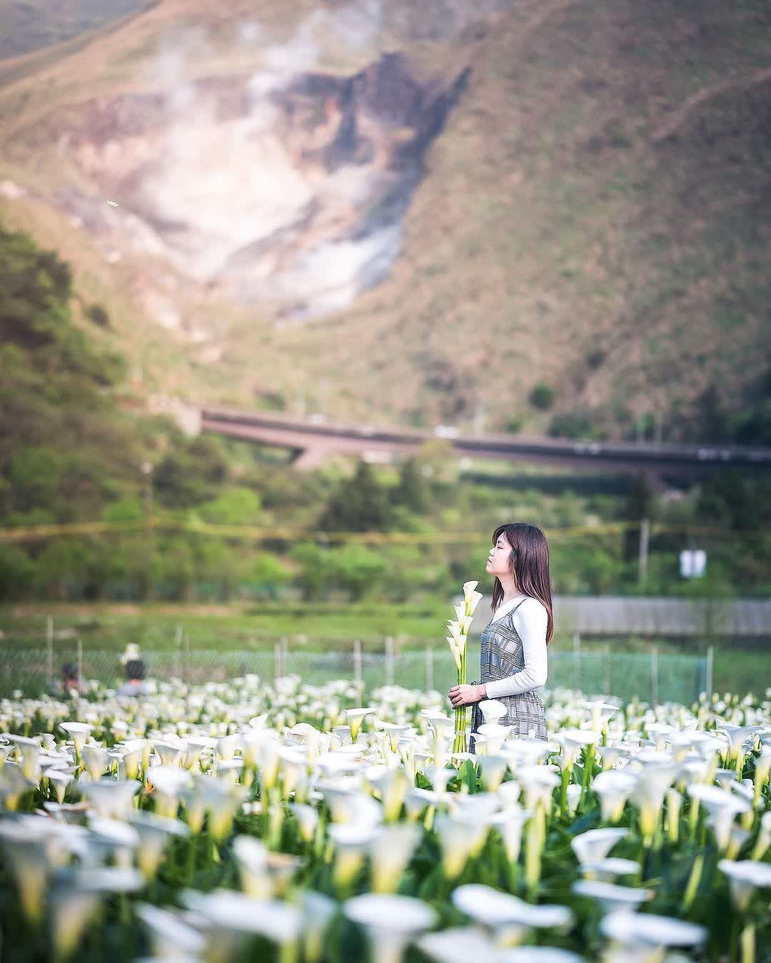 陽明山國家公園 | 去趣 chicTrip