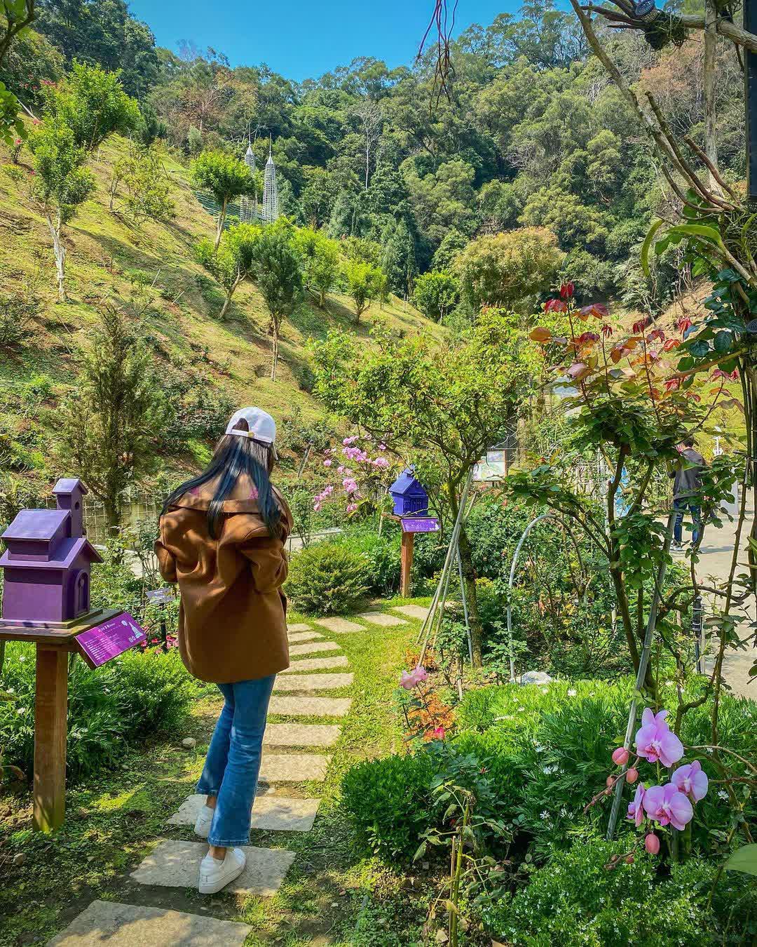 雅聞七里香玫瑰森林 | 去趣 chicTrip