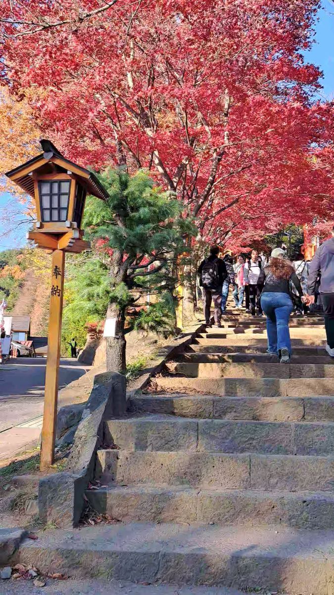 新倉山淺間公園 | 去趣 chicTrip