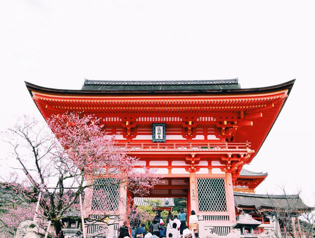 清水寺 | 去趣 chicTrip