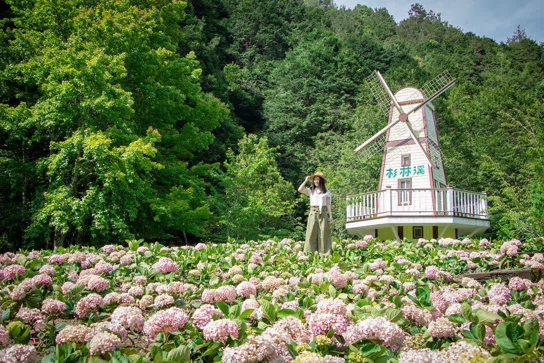 杉林溪森林生態渡假園區 | 去趣 chicTrip