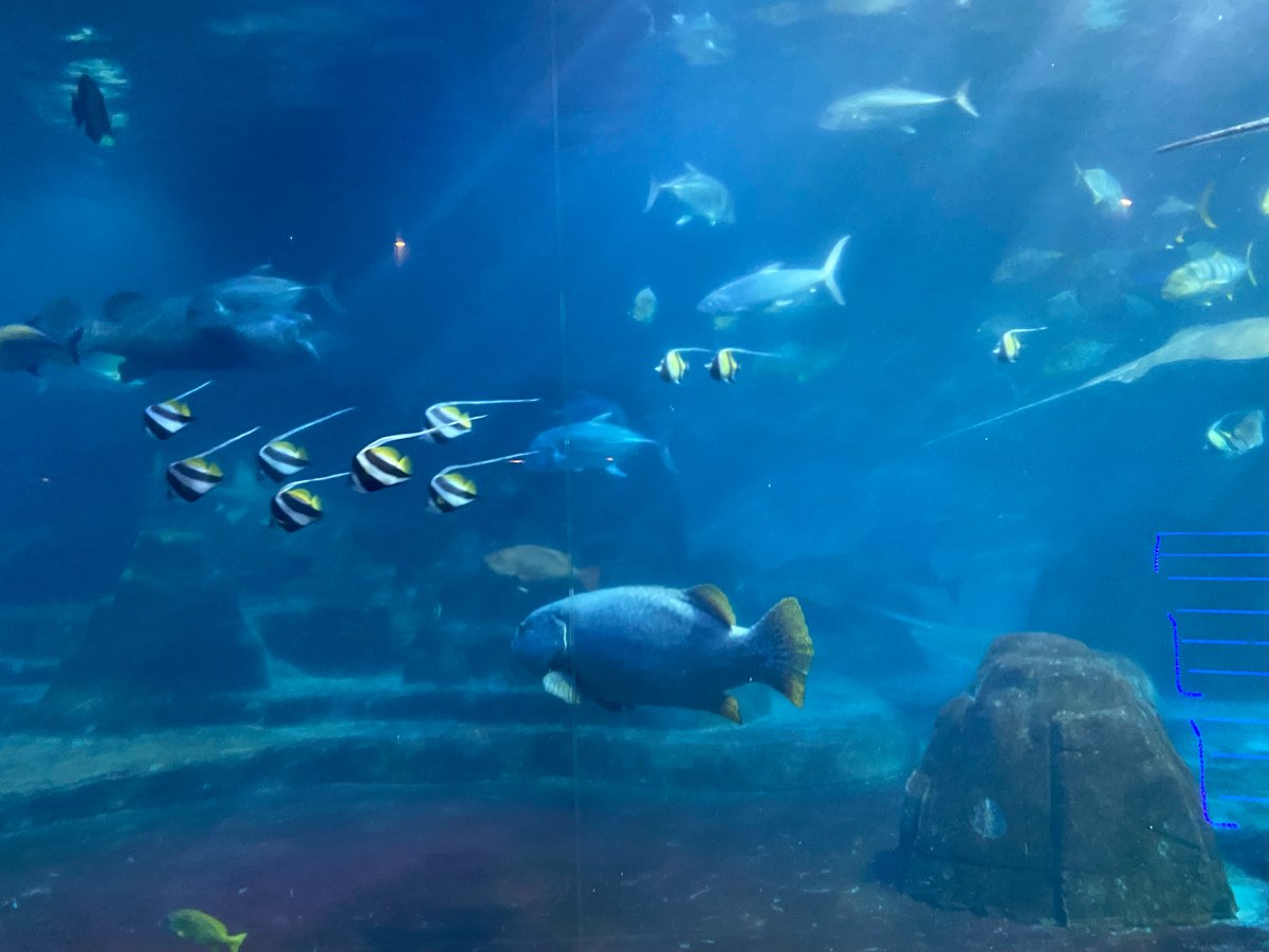 遠雄海洋公園 | 去趣 chicTrip