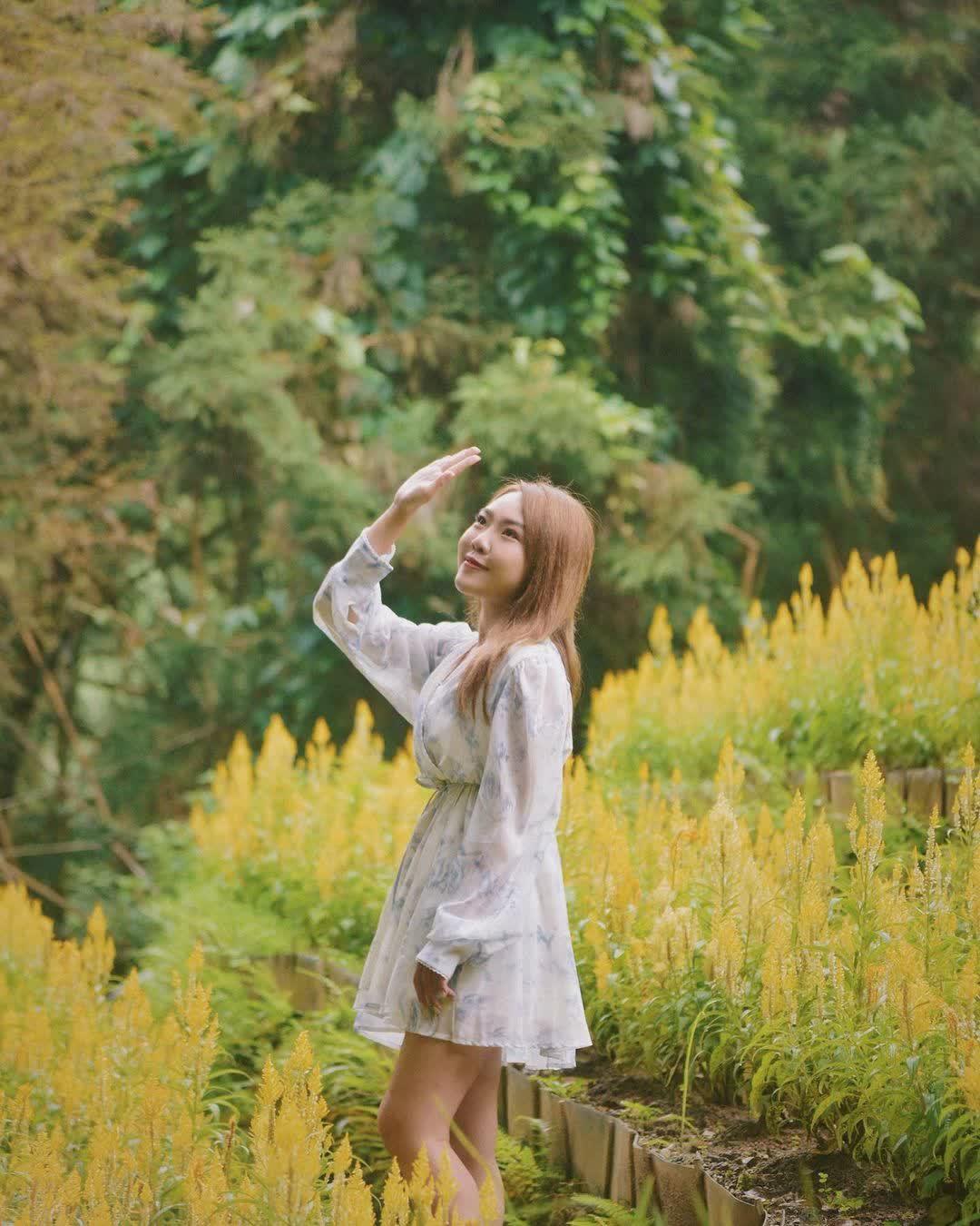 薰衣草森林台中新社店 | 去趣 chicTrip