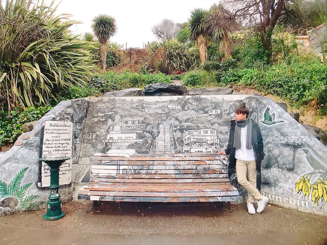 Baldwin Street - The Steepest Street in the World | 去趣 chicTrip
