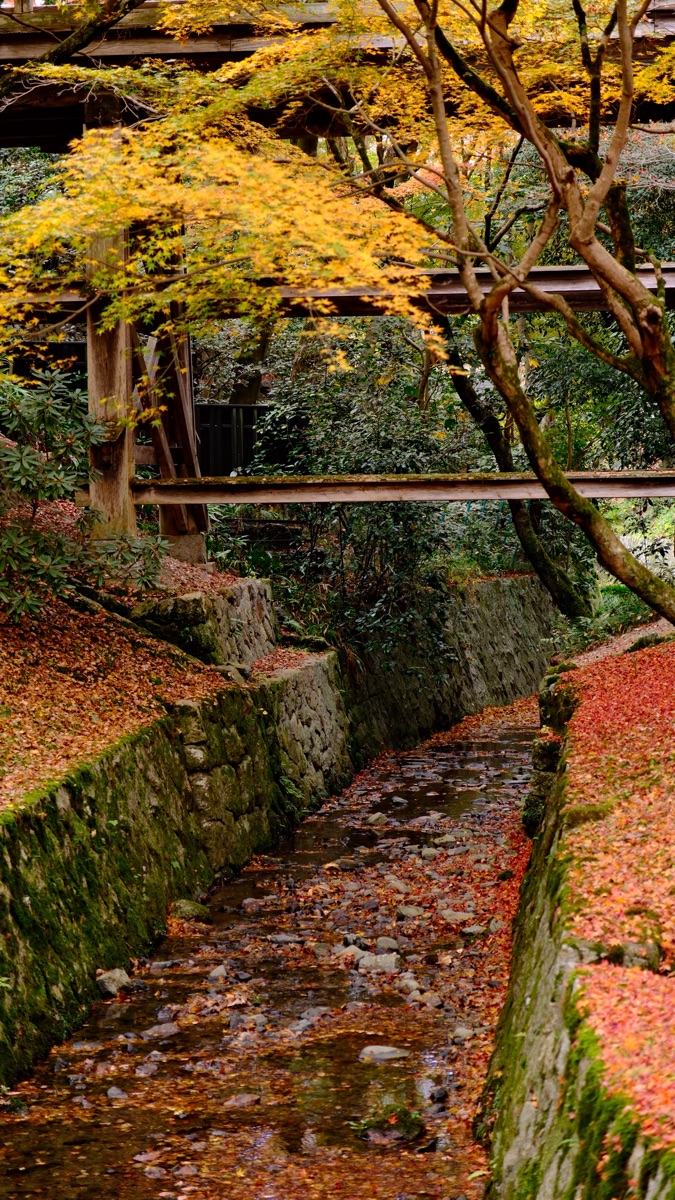 東福寺 | 去趣 chicTrip