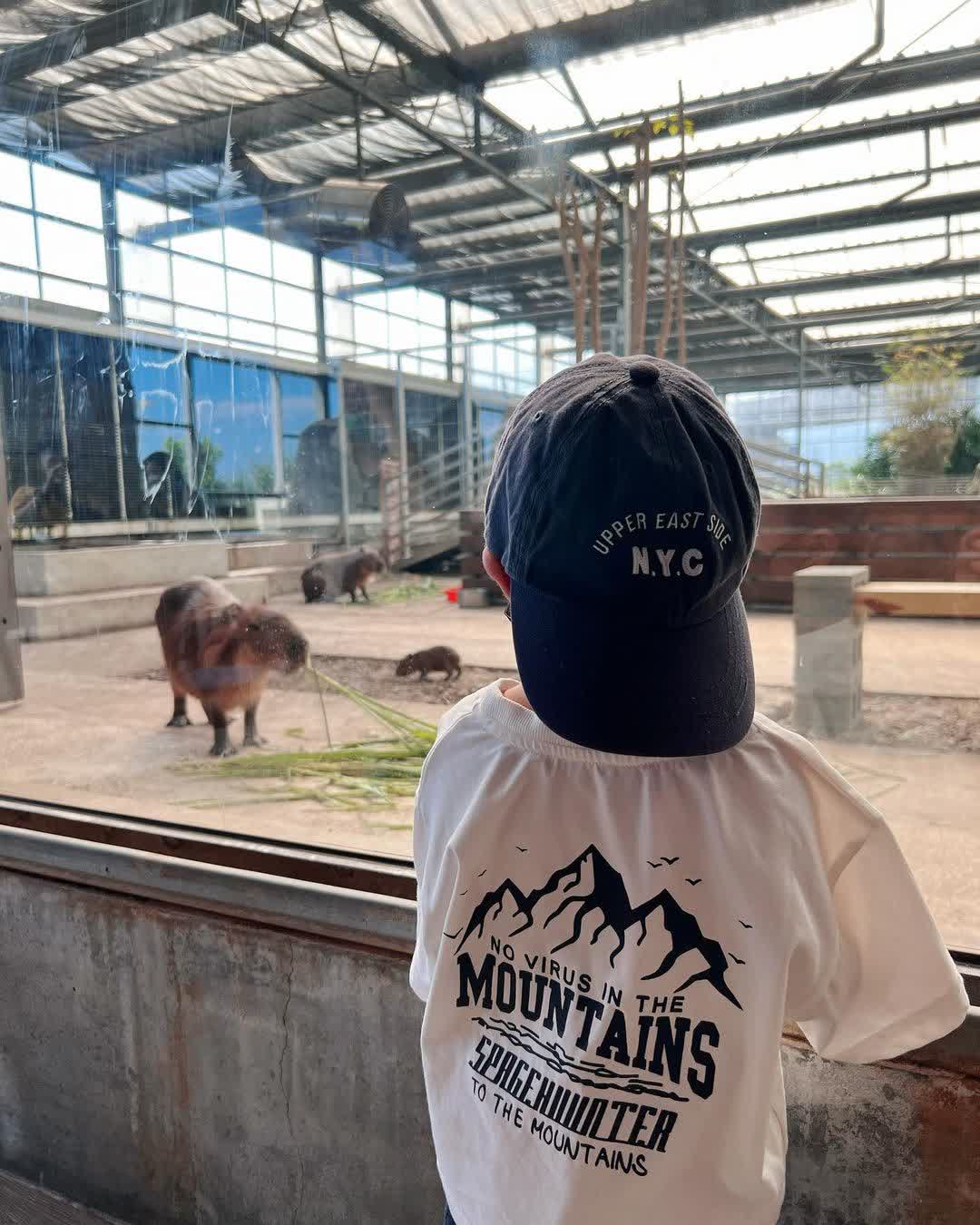 金車礁溪蘭花園附設動植物生態館 | 去趣 chicTrip