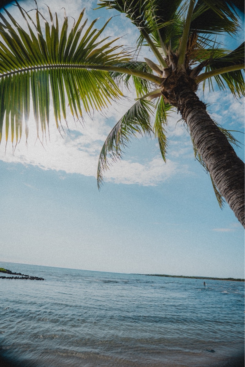 Kaloko-Honokōhau National Historical Park | 去趣 chicTrip