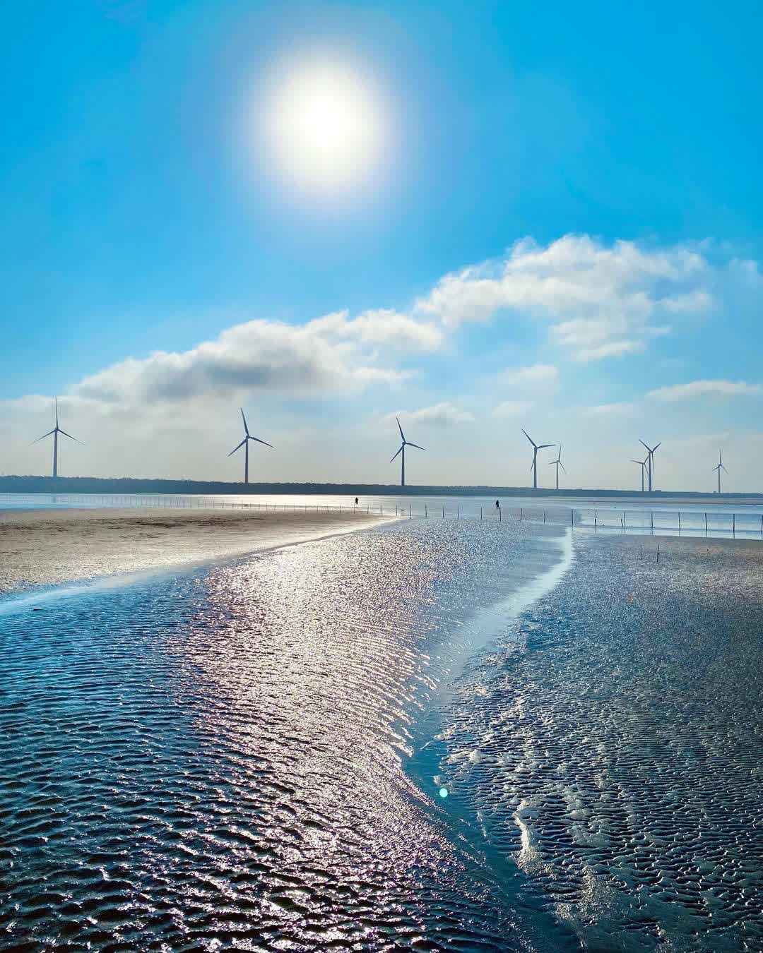 高美濕地 | 去趣 chicTrip