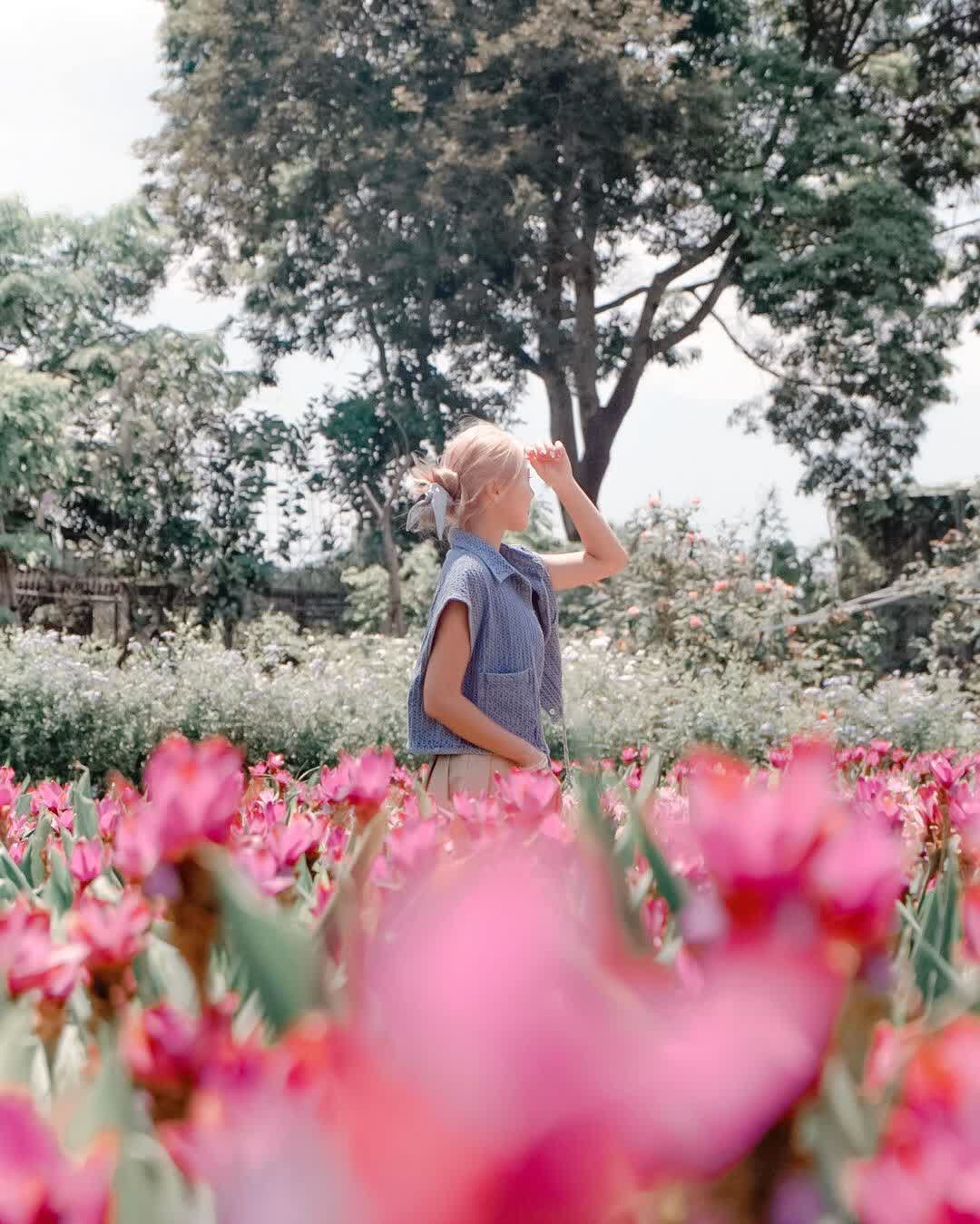 花露農場 Flower Home | 去趣 chicTrip
