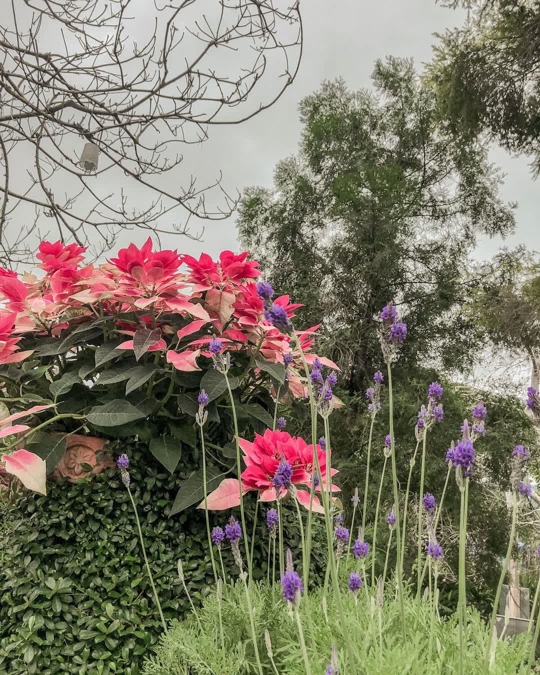 幸福山丘 | 去趣 chicTrip