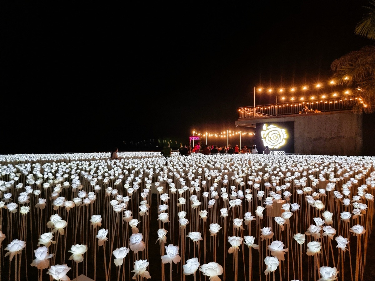 10000 Roses Cafe & More | 去趣 chicTrip