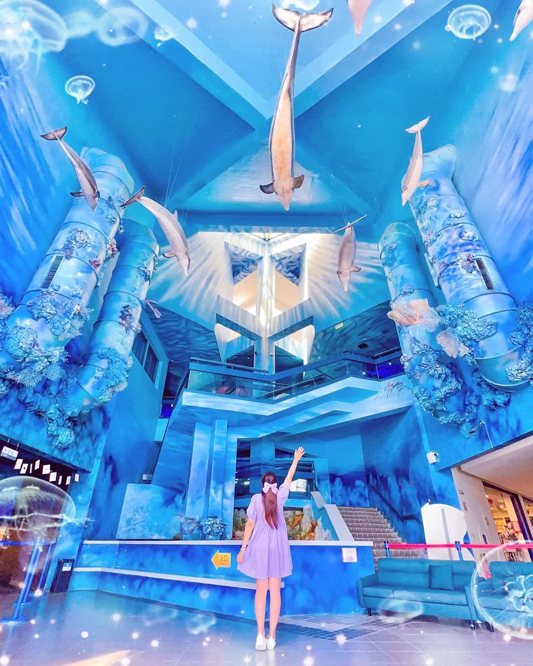 澎湖水族館 | 去趣 chicTrip