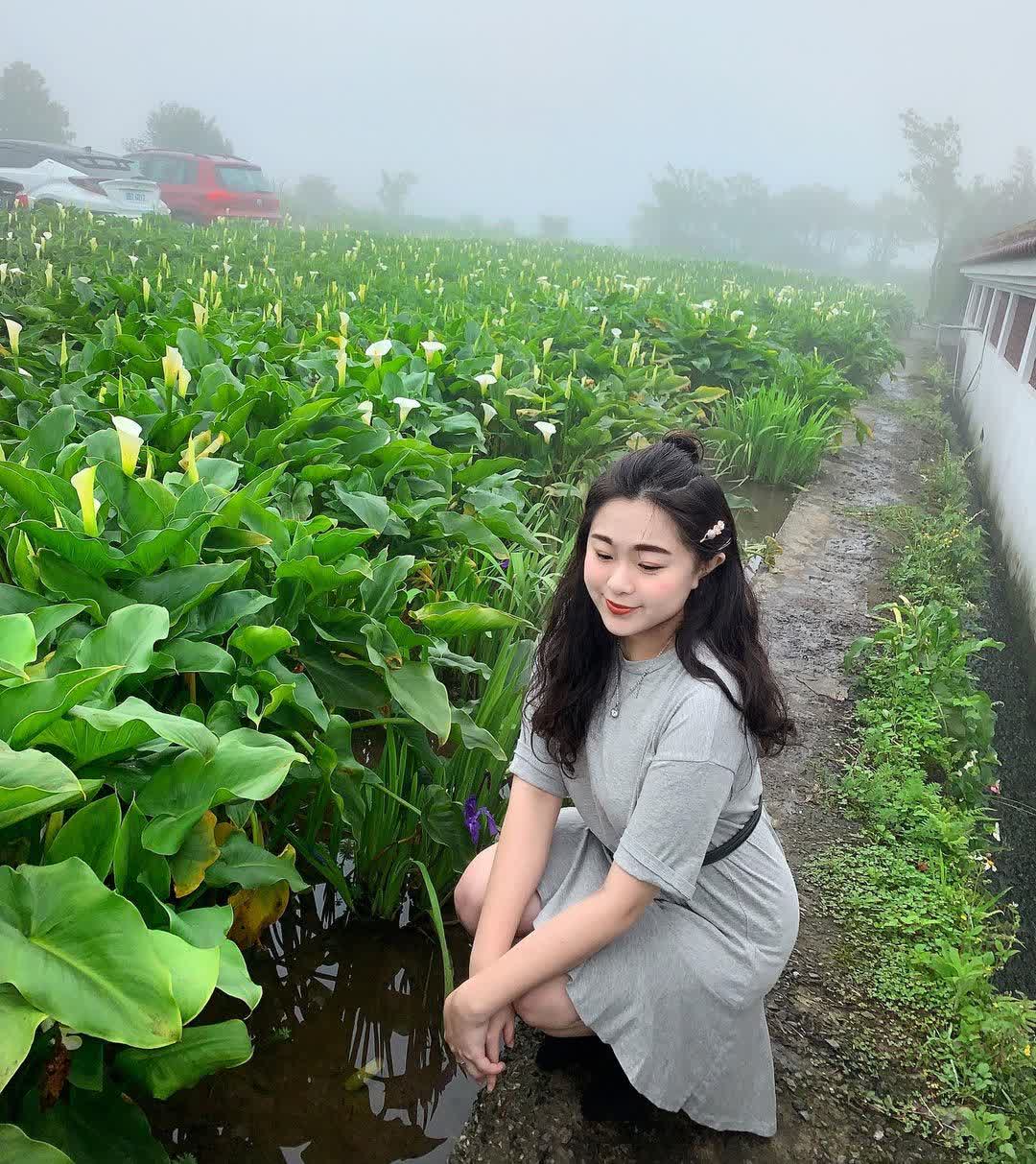 竹子湖 | 去趣 chicTrip