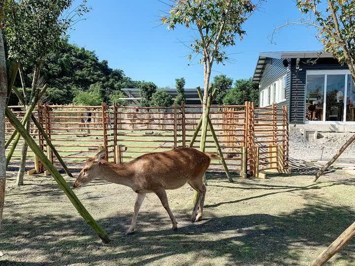 宜蘭-斑比山丘 | 去趣 chicTrip