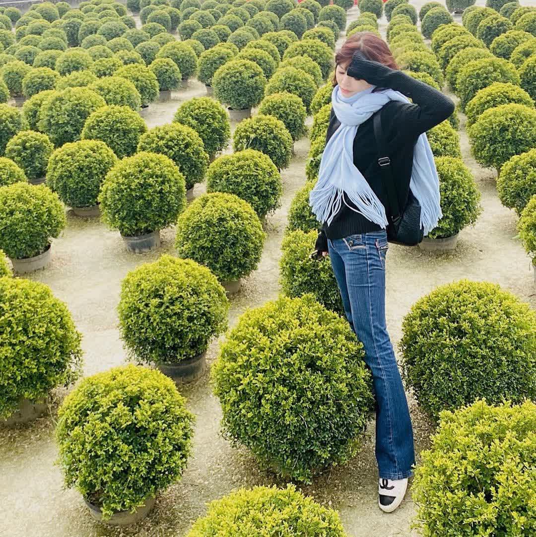 彰化田尾波波草 | 去趣 chicTrip