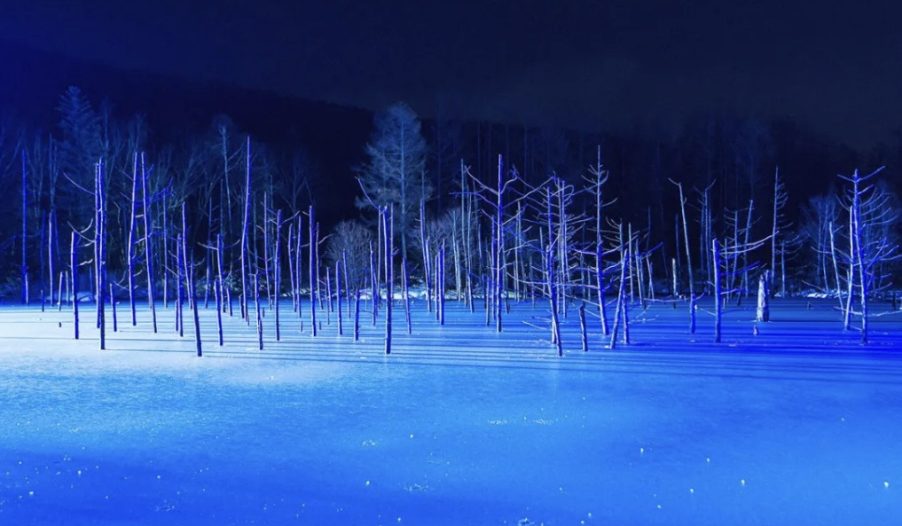 白金青池 | 去趣 chicTrip