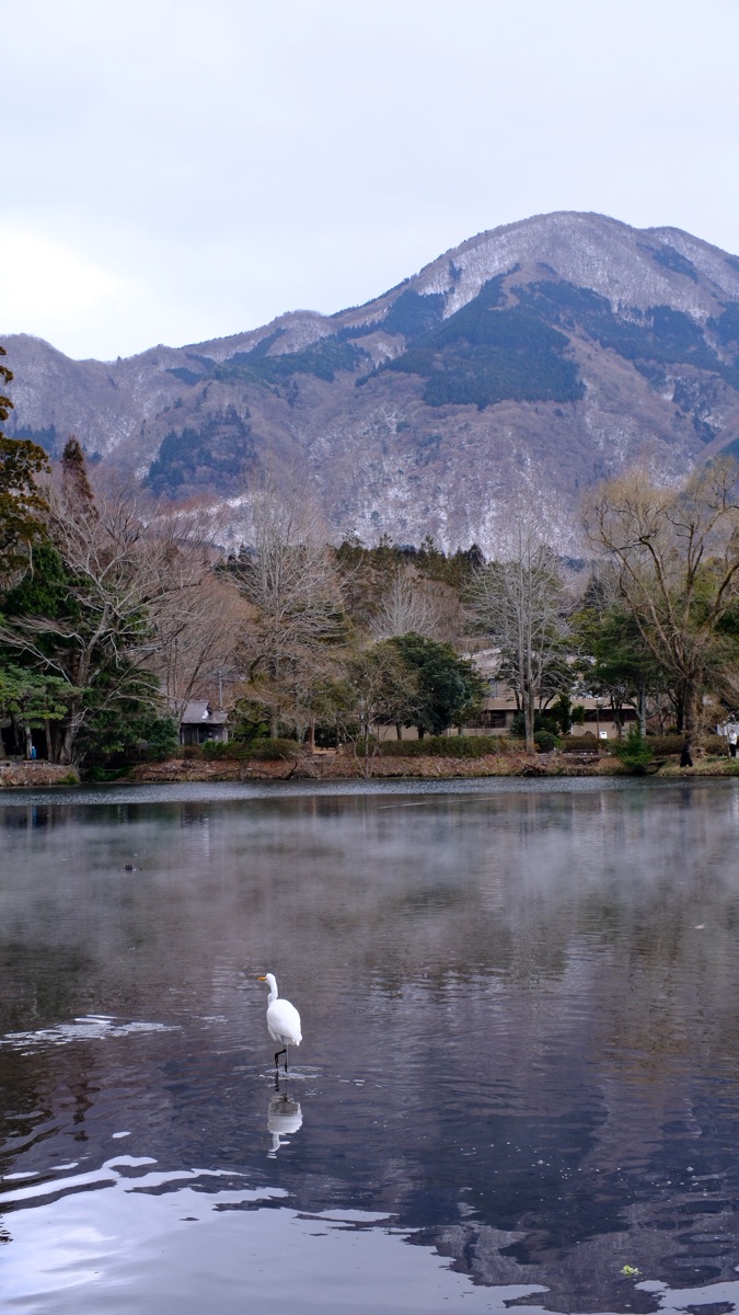 金鱗湖 | 去趣 chicTrip