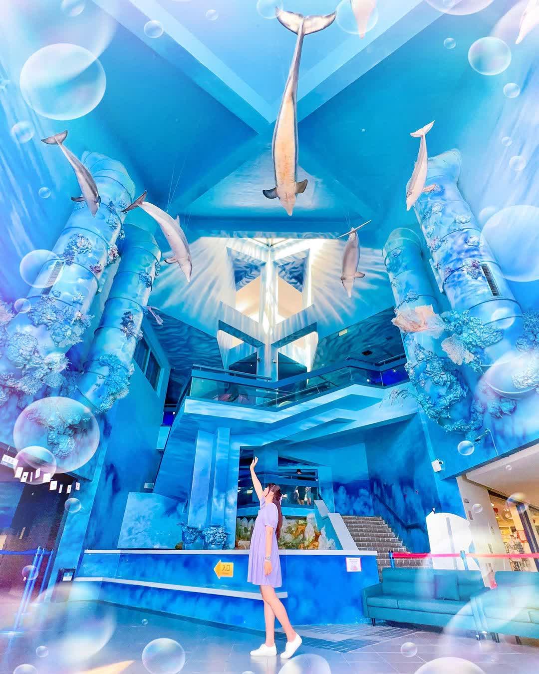 澎湖水族館 | 去趣 chicTrip