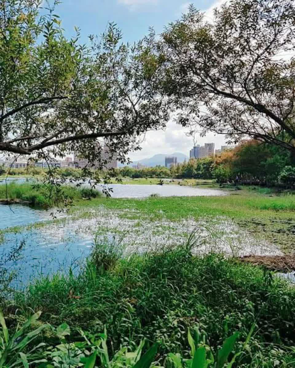 羅東林業文化園區 | 去趣 chicTrip